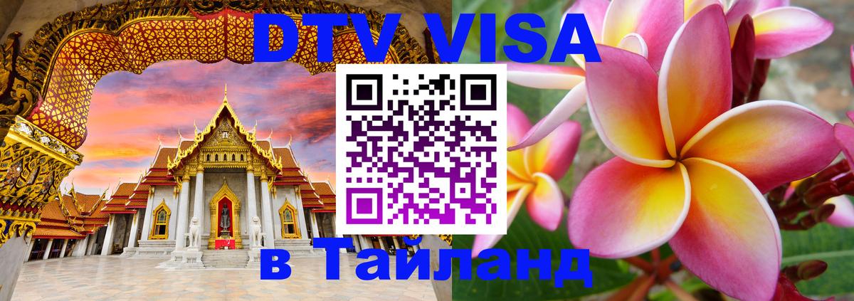 Оформление DTV визы под ключ: стоимость и тарифы, только загранпаспорт - 